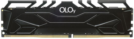  Front view of the memory module in standing position  
